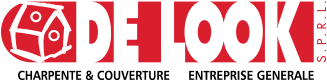 Logo de Delook